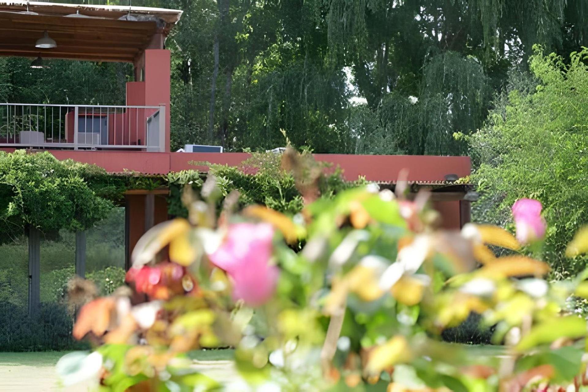 Finca Ogawa Los Sauces  Zewnętrze zdjęcie