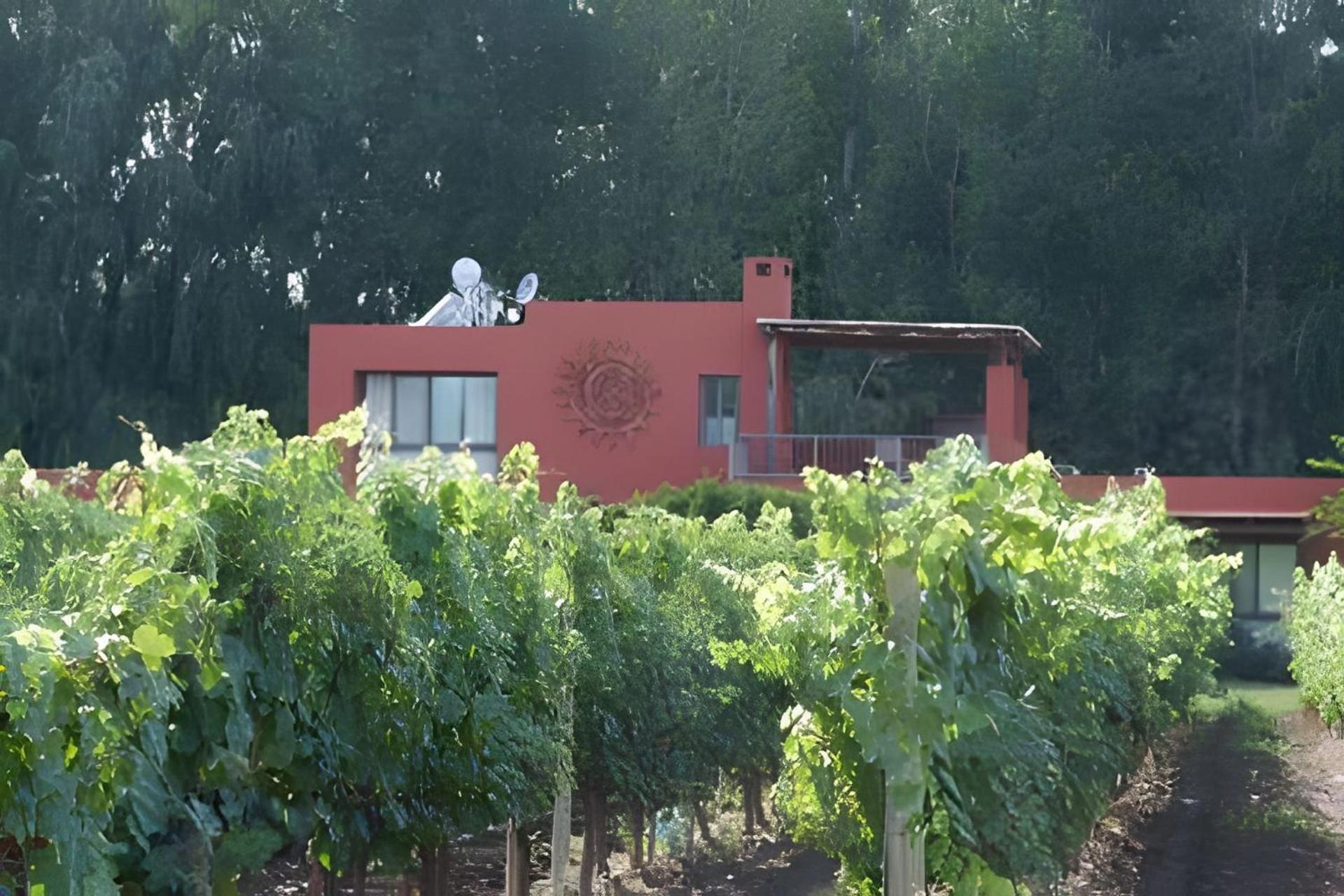 Finca Ogawa Los Sauces  Zewnętrze zdjęcie